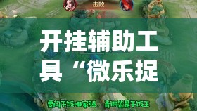 开挂辅助工具“微乐捉鸡开挂安卓系统免费”开挂详细教程