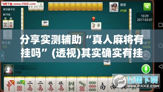 分享实测辅助“真人麻将有挂吗”(透视)其实确实有挂