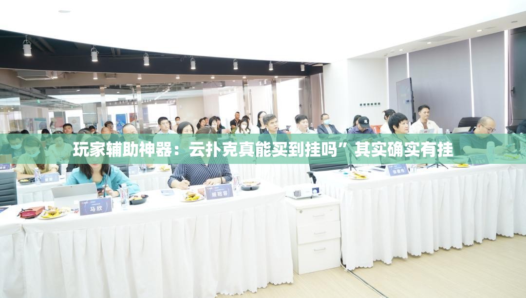 玩家辅助神器：云扑克真能买到挂吗	”其实确实有挂