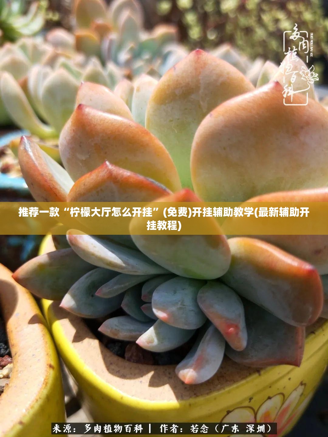 推荐一款“柠檬大厅怎么开挂”(免费)开挂辅助教学(最新辅助开挂教程)
