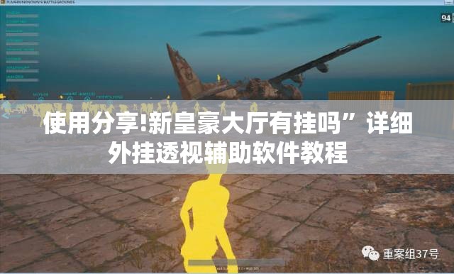 使用分享!新皇豪大厅有挂吗	”详细外挂透视辅助软件教程