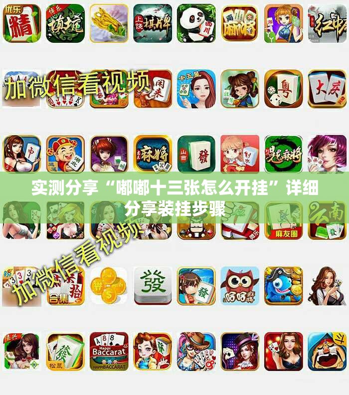 实测分享“嘟嘟十三张怎么开挂”详细分享装挂步骤