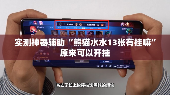 实测神器辅助“熊猫水水13张有挂嘛”原来可以开挂