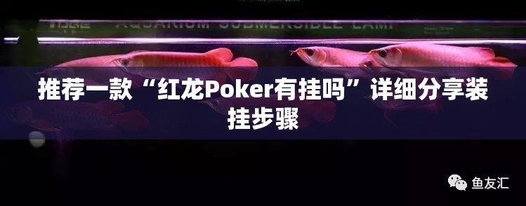 推荐一款“红龙Poker有挂吗”详细分享装挂步骤