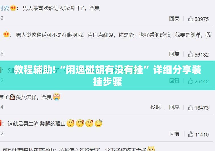教程辅助!“闲逸碰胡有没有挂”详细分享装挂步骤