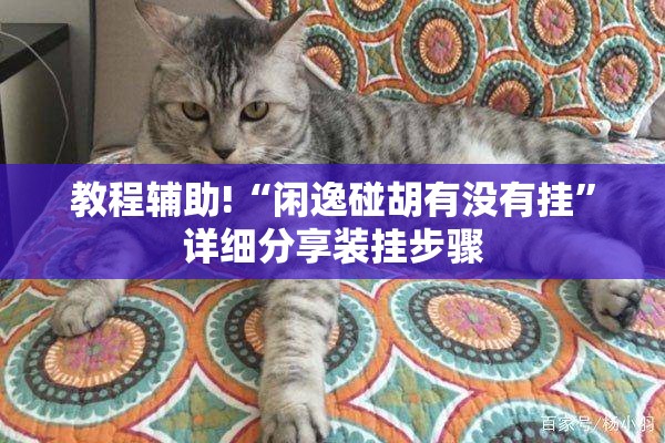 教程辅助!“闲逸碰胡有没有挂”详细分享装挂步骤