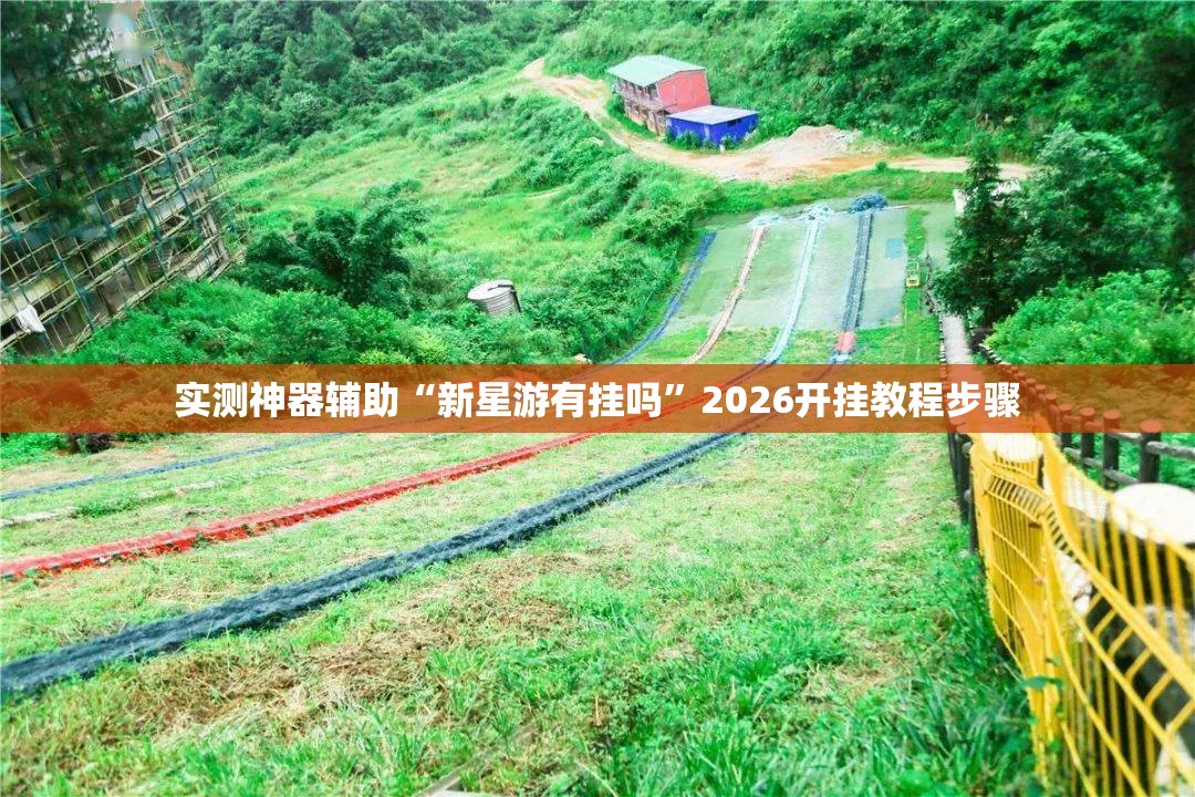 实测神器辅助“新星游有挂吗”2026开挂教程步骤
