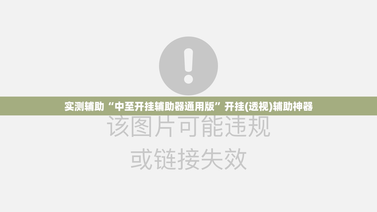 实测辅助“中至开挂辅助器通用版”开挂(透视)辅助神器
