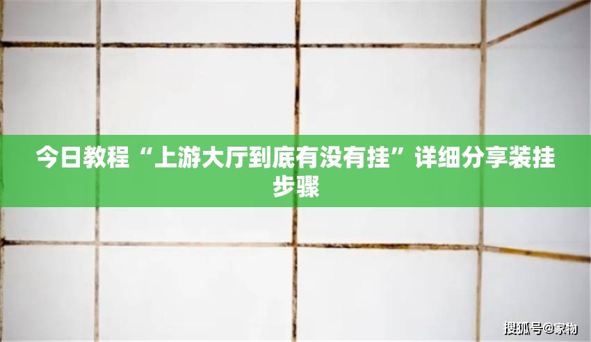 今日教程“上游大厅到底有没有挂	”详细分享装挂步骤