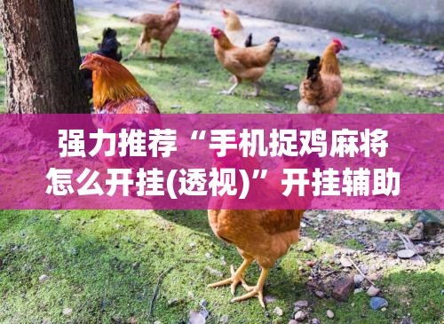强力推荐“手机捉鸡麻将怎么开挂(透视)”开挂辅助脚本+详细开挂安装教程
