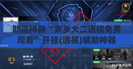助赢神器“家乡大二透视免费观看	”开挂(透视)辅助神器