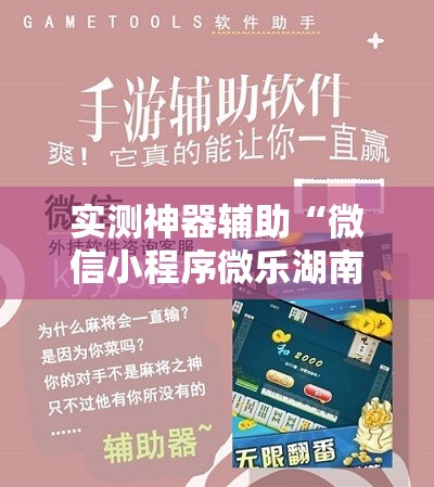 实测神器辅助“微信小程序微乐湖南麻将外卦辅助软件下载”细辅助教程分享