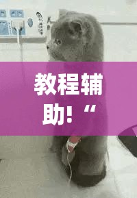 教程辅助!“微信打大a万能开挂神器”(辅助神器)开挂详细教程