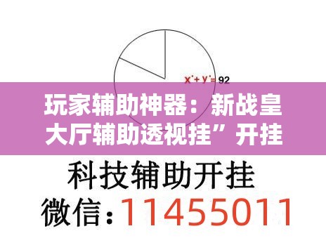 玩家辅助神器：新战皇大厅辅助透视挂	”开挂详细教程
