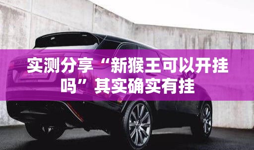 实测分享“新猴王可以开挂吗”其实确实有挂