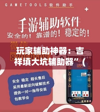 玩家辅助神器：吉祥填大坑辅助器”(透视)其实确实有挂