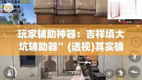 玩家辅助神器：吉祥填大坑辅助器”(透视)其实确实有挂