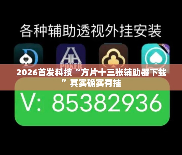 2026首发科技“方片十三张辅助器下载”其实确实有挂