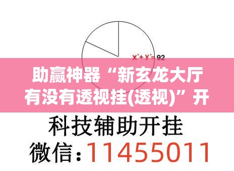 助赢神器“新玄龙大厅有没有透视挂(透视)	”开挂辅助脚本+详细开挂安装教程