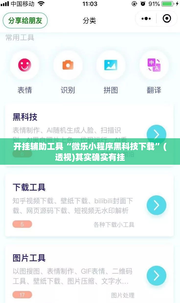 开挂辅助工具“微乐小程序黑科技下载”(透视)其实确实有挂