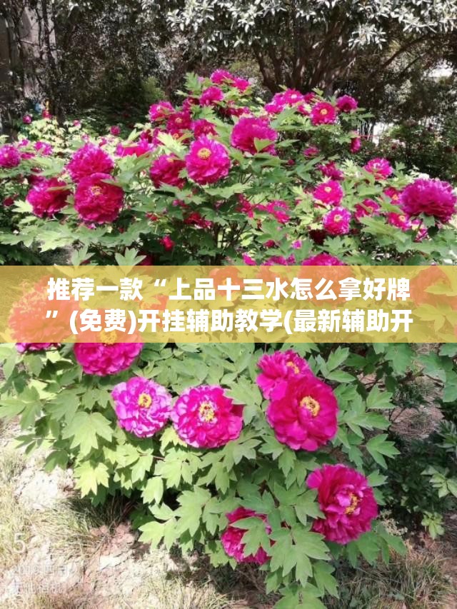 推荐一款“上品十三水怎么拿好牌”(免费)开挂辅助教学(最新辅助开挂教程)