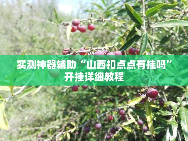 实测神器辅助“山西扣点点有挂吗”开挂详细教程