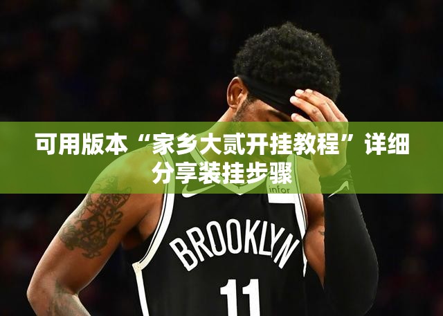 可用版本“家乡大贰开挂教程”详细分享装挂步骤
