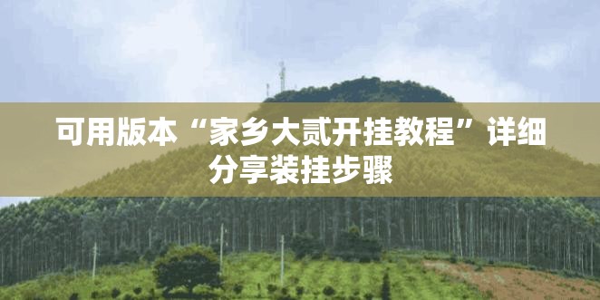 可用版本“家乡大贰开挂教程	”详细分享装挂步骤