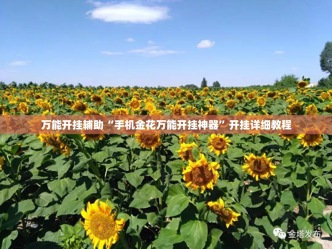 万能开挂辅助“手机金花万能开挂神器”开挂详细教程