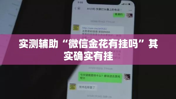 实测辅助“微信金花有挂吗”其实确实有挂