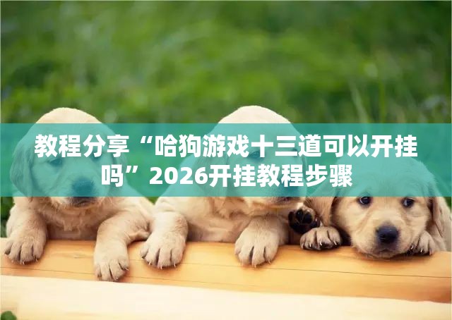 教程分享“哈狗游戏十三道可以开挂吗	”2026开挂教程步骤