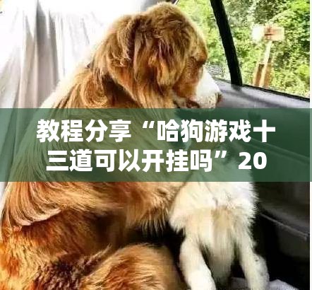教程分享“哈狗游戏十三道可以开挂吗”2026开挂教程步骤