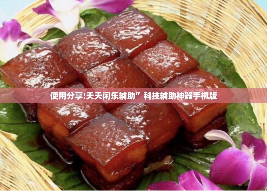 使用分享!天天闲乐辅助”科技辅助神器手机版