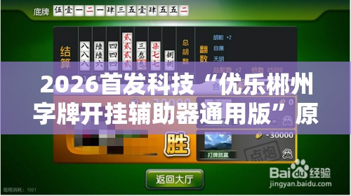 2026首发科技“优乐郴州字牌开挂辅助器通用版”原来可以开挂