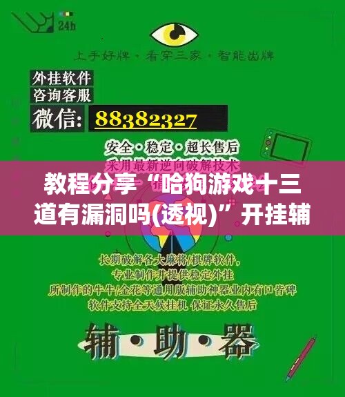 教程分享“哈狗游戏十三道有漏洞吗(透视)”开挂辅助脚本+详细开挂安装教程