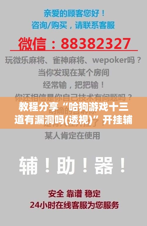 教程分享“哈狗游戏十三道有漏洞吗(透视)	”开挂辅助脚本+详细开挂安装教程
