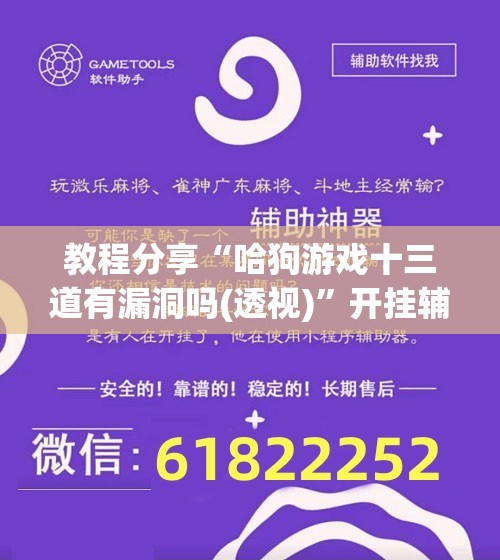 教程分享“哈狗游戏十三道有漏洞吗(透视)”开挂辅助脚本+详细开挂安装教程