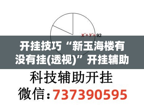 开挂技巧“新玉海楼有没有挂(透视)	”开挂辅助脚本+详细开挂安装教程
