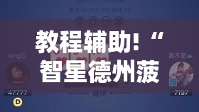 教程辅助!“智星德州菠萝插件教程”详细开挂教程