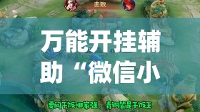 万能开挂辅助“微信小程序微乐内蒙麻将外卦辅助软件下载”开挂(透视)辅助教程