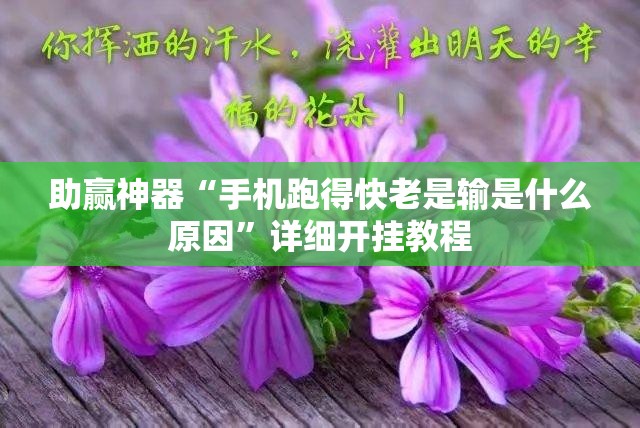 助赢神器“手机跑得快老是输是什么原因”详细开挂教程
