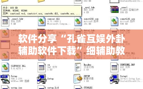 软件分享“孔雀互娱外卦辅助软件下载	”细辅助教程分享