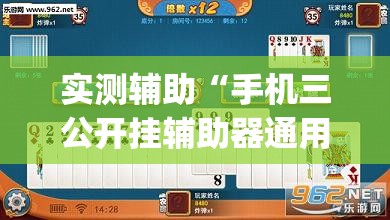 实测辅助“手机三公开挂辅助器通用版”开挂(透视)辅助教程