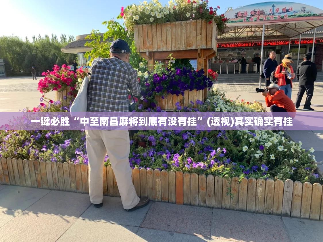 一键必胜“中至南昌麻将到底有没有挂	”(透视)其实确实有挂