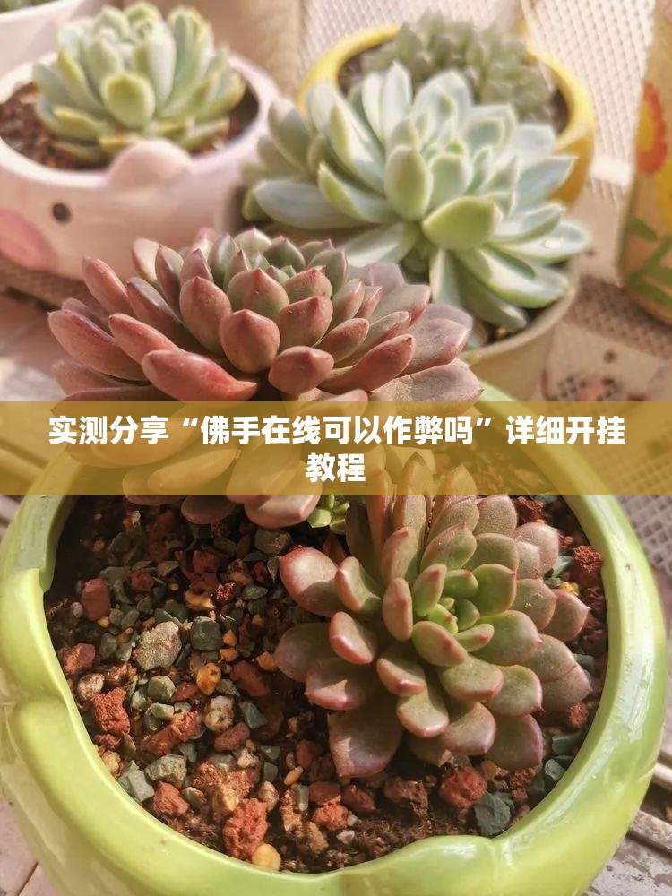 实测分享“佛手在线可以作弊吗”详细开挂教程