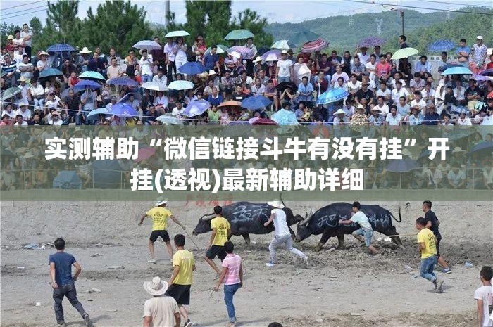 实测辅助“微信链接斗牛有没有挂”开挂(透视)最新辅助详细