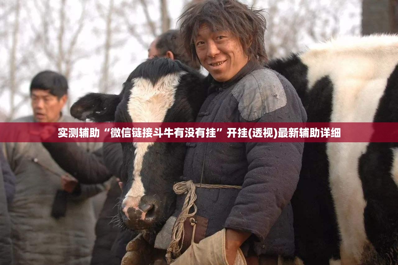 实测辅助“微信链接斗牛有没有挂”开挂(透视)最新辅助详细