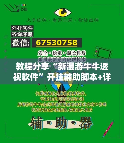 教程分享“新漫游牛牛透视软件	”开挂辅助脚本+详细开挂安装教程