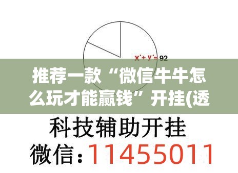 推荐一款“微信牛牛怎么玩才能赢钱”开挂(透视)辅助教程