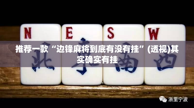 推荐一款“边锋麻将到底有没有挂”(透视)其实确实有挂